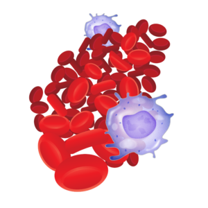 Blood Routine：Complete Blood Count，CBC 全套血液檢查8項，白血球分類計數