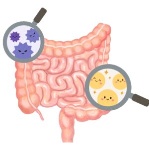 腸道菌叢分析檢測