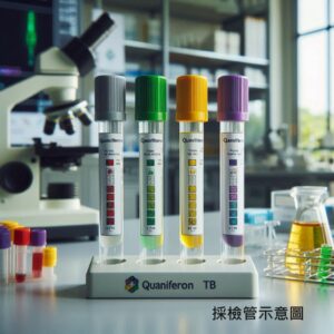 QuantiFERON TB-Gold Plus，QFT，Interferon-γ，IFN-r，Interferon-Gamma Release Assays (IGRAs) 克肺癆結核菌感染，丙型干擾素釋放試驗(示意圖)