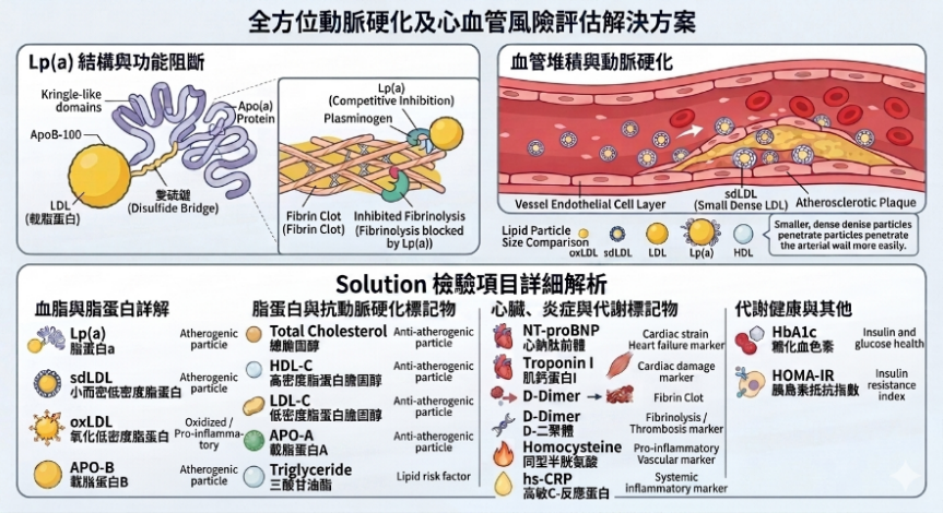 脂蛋白